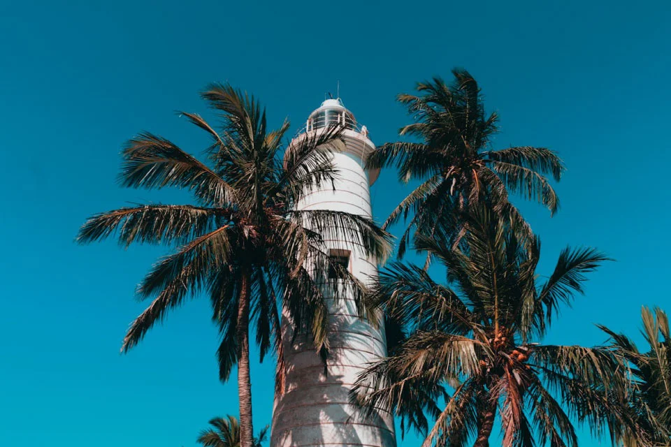 lighthouse-and-coconut-trees-galle-fort-sri-lanka