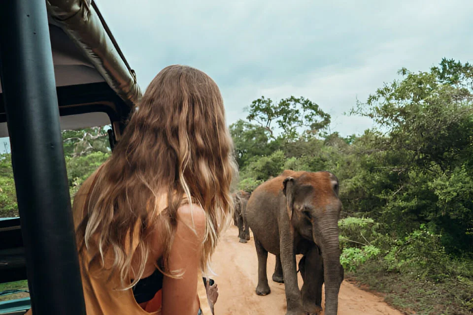 safari-in-sri-lanka-happy-women-looking-at-elephants