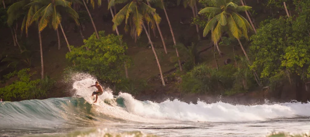 mirissa-beach-surfer-surfing-at-sunset