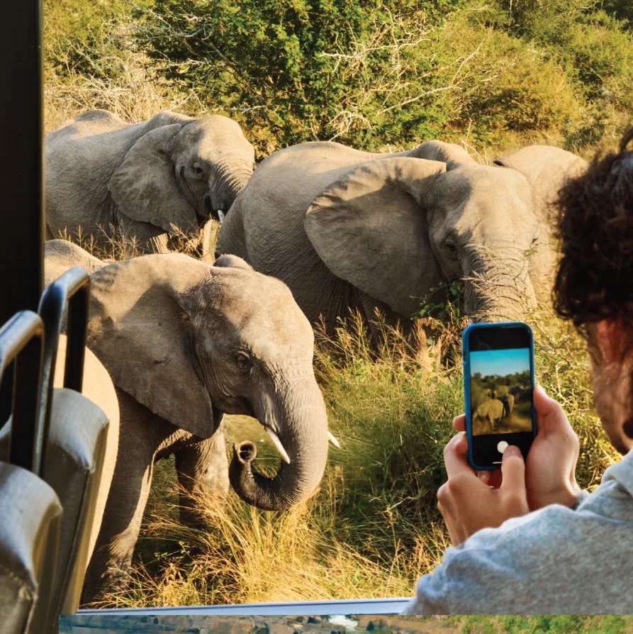 minneriya-elephant-safari-sri-lanka