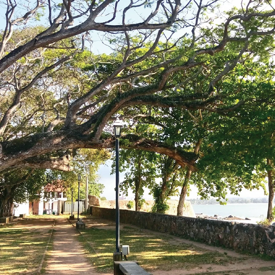 side-walk-in-galle-dutch-fort